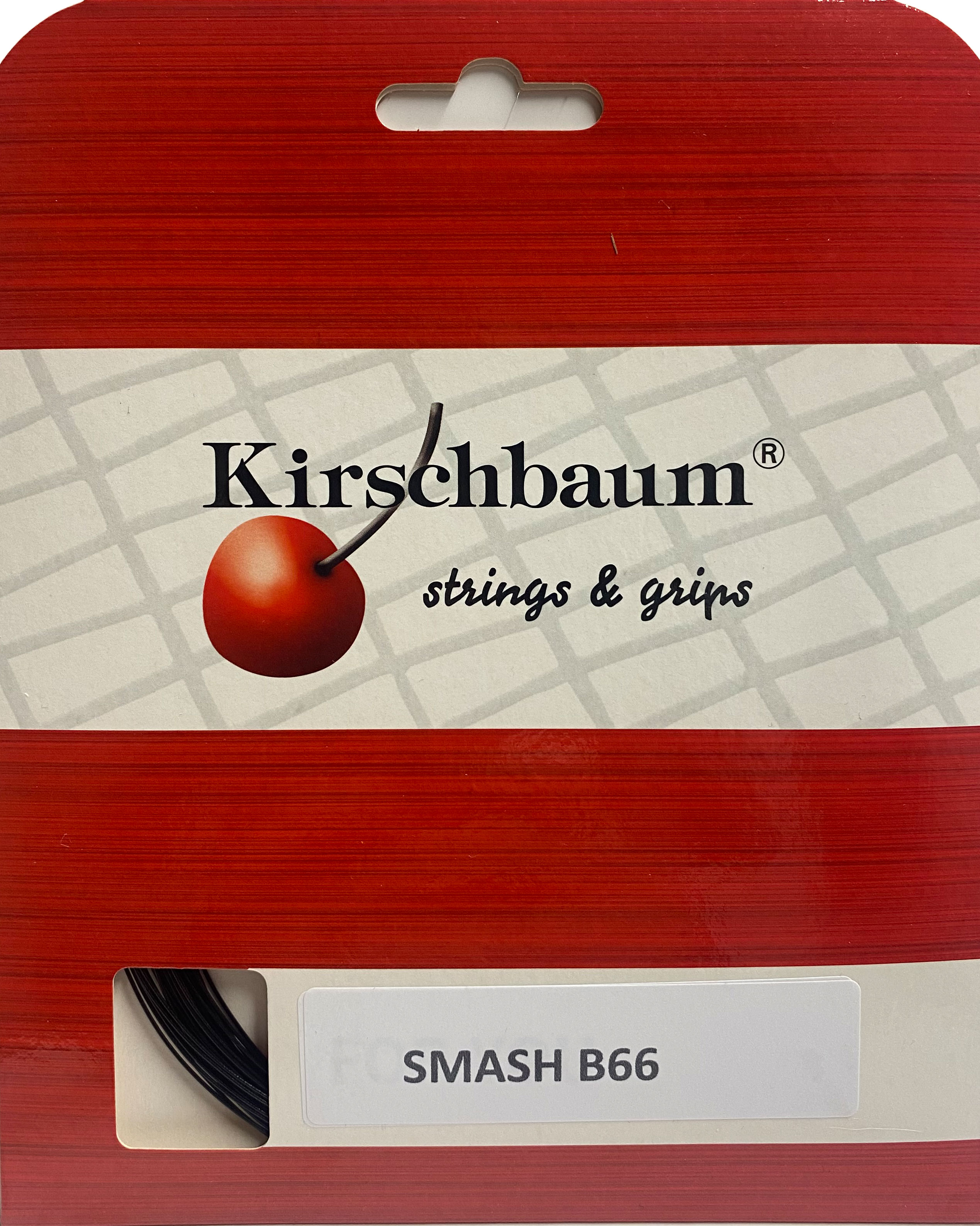Featured image1, from the article “Smash B 66 Badminton Black – 10.2-metre set ”