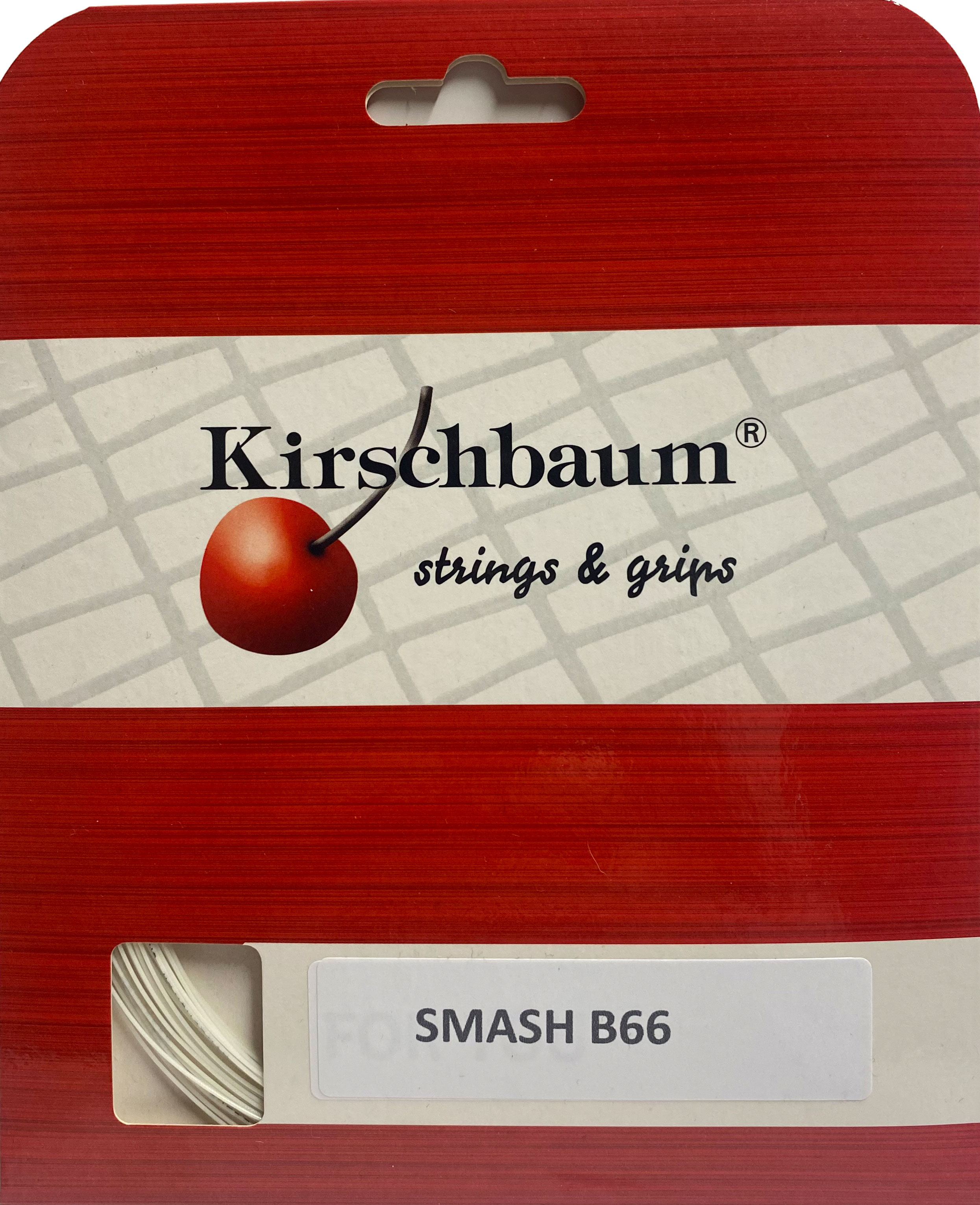 Featured image1, from the article “Smash B 66 Badminton White – 10.2-metre set ”