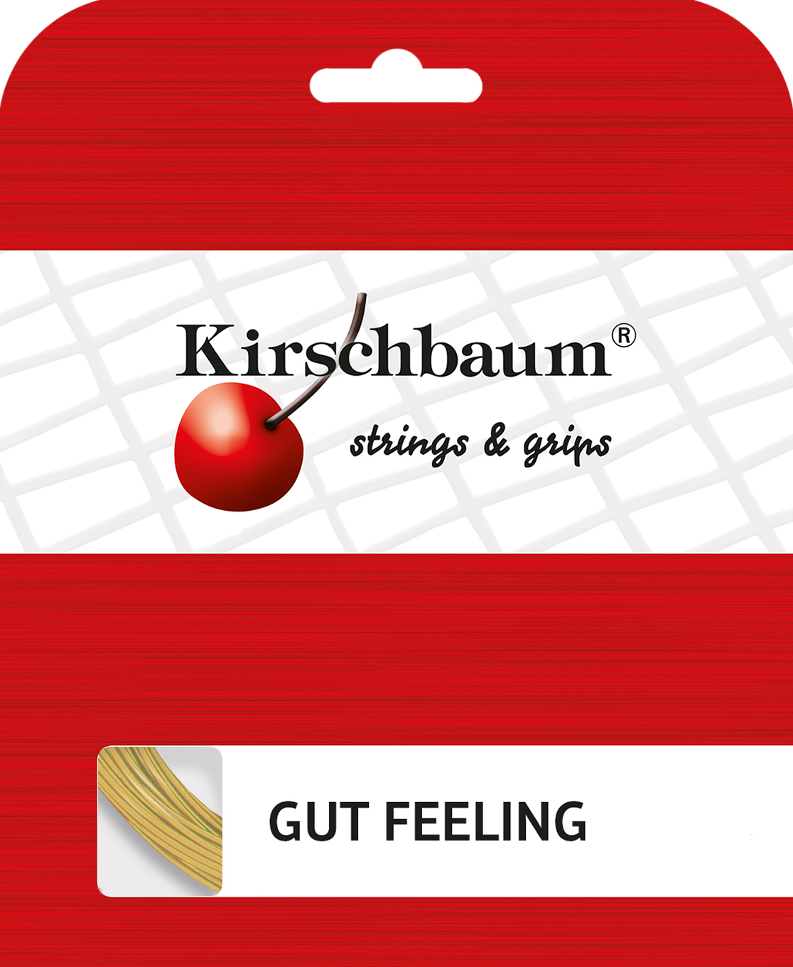 Featured image1, from the article “Gut Feeling Squash – 10.7-metre set ”